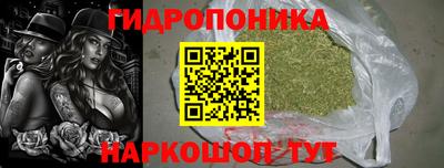 прущие крисы Волгодонск