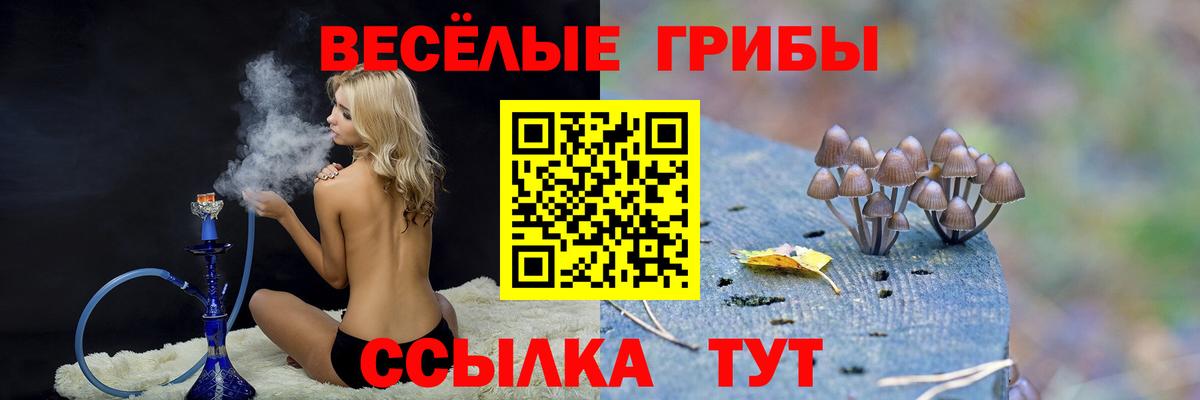 наркошоп  Изобильный  Галлюциногенные грибы Psilocybe 
