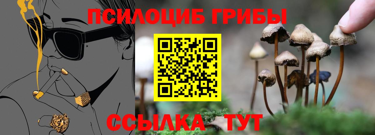 Галлюциногенные грибы Cubensis Изобильный