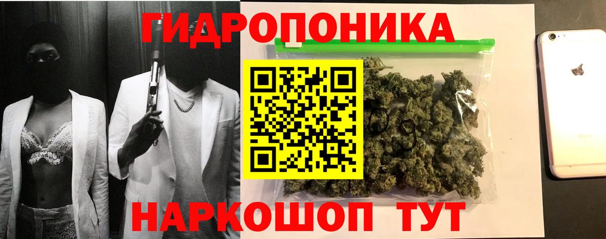 Шишки марихуана OG Kush Изобильный