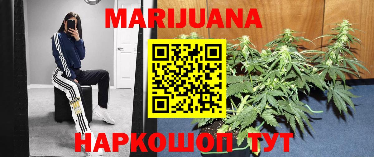 Бошки Шишки SATIVA & INDICA  Изобильный  Канабис гибрид 